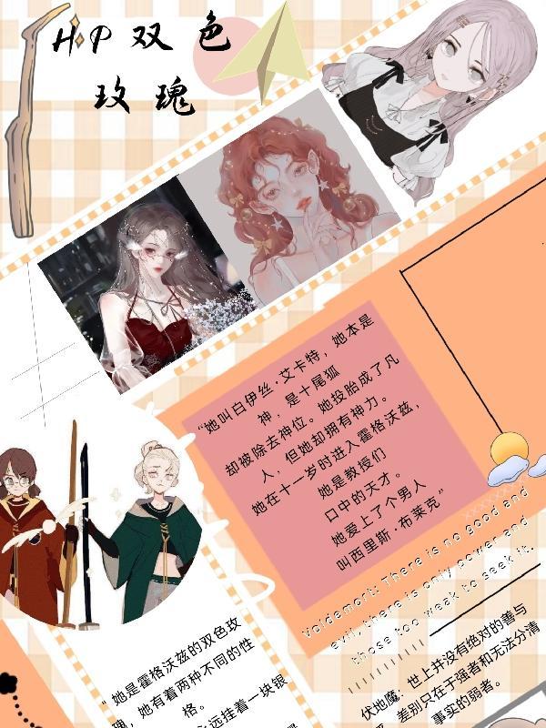 双色玫瑰花