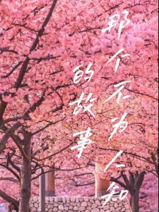 那个不为人知的故事百科