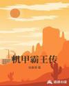 小霸王机甲战士