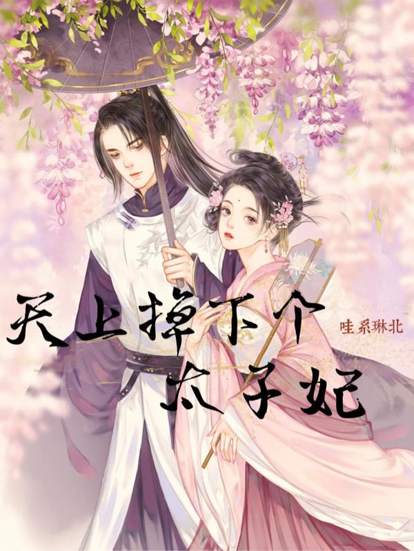 天上掉下个皇上上