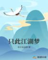 只此江湖梦 电视剧好看吗