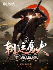 朝廷鹰犬50章