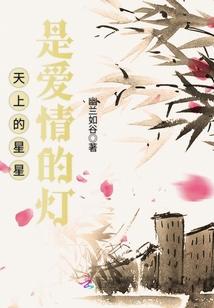 天上的星星是地上的泪