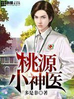 桃源小神医陈洛短剧免费观看