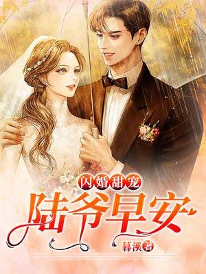 闪婚陆少的心尖宠