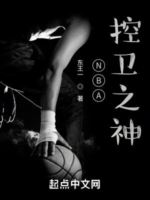NBA控卫之神 百度