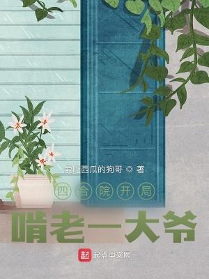 四合院开局啃老一大爷全文阅读