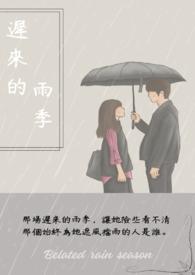 迟来的雨季全剧播放