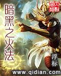 暗黑冰火法加点