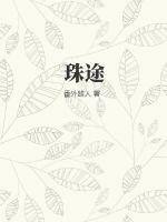 珠途偶遇是缘份代表什么生肖