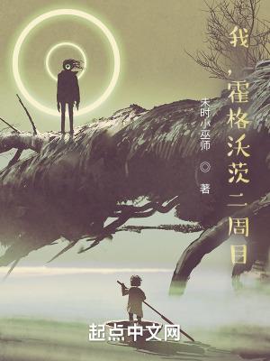 我霍格沃茨二周目TXT版本