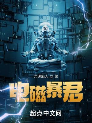 电磁暴君等级划分