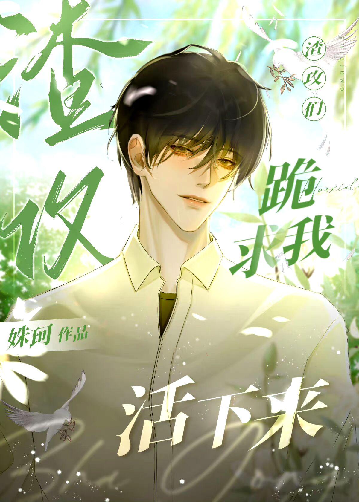 病美人在七零作者乐不为