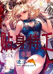 贴身特工方逸天全文TXT