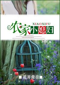 农家小媳妇的百宝箱