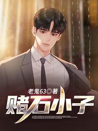 赌石小子阿翔全文免费阅读