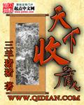 天下收藏董事长个人简介