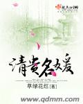 清贵名媛第二部