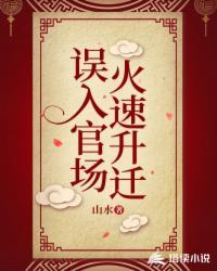 误入官场火速升迁