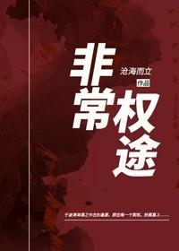 非常权途TXT奇书网