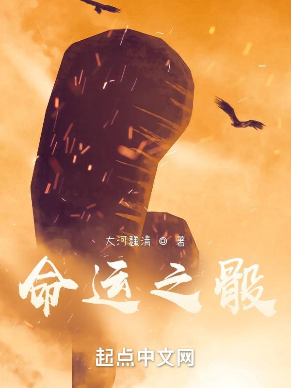 命运之骰晋江