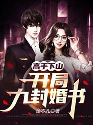 高手下山开局九封婚书韩风笔趣阁