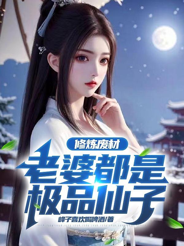 修炼废材老婆都是极品仙子TXT