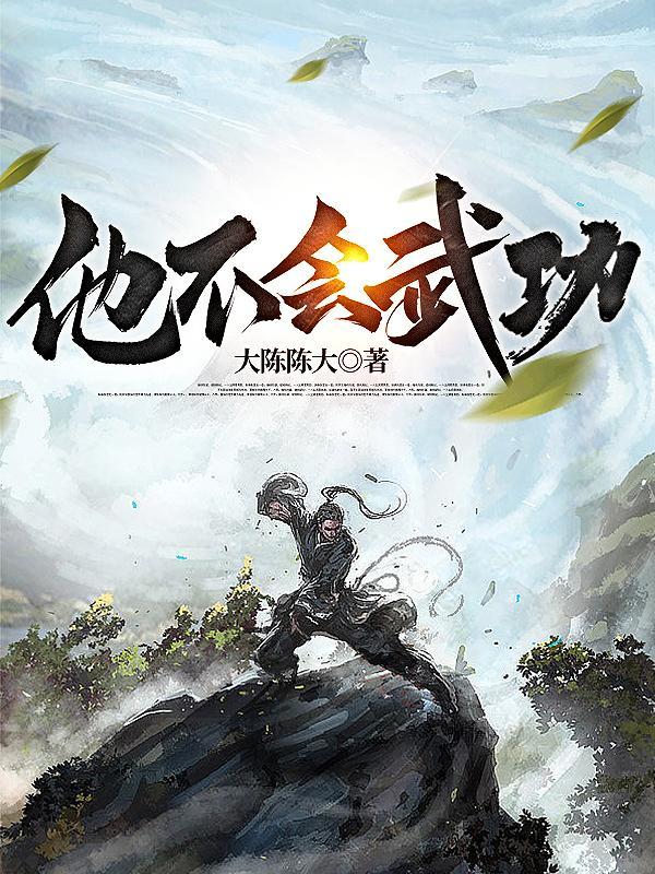 他不会武功阿雕