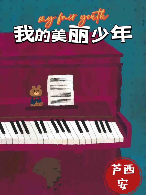 我的美丽少年txt