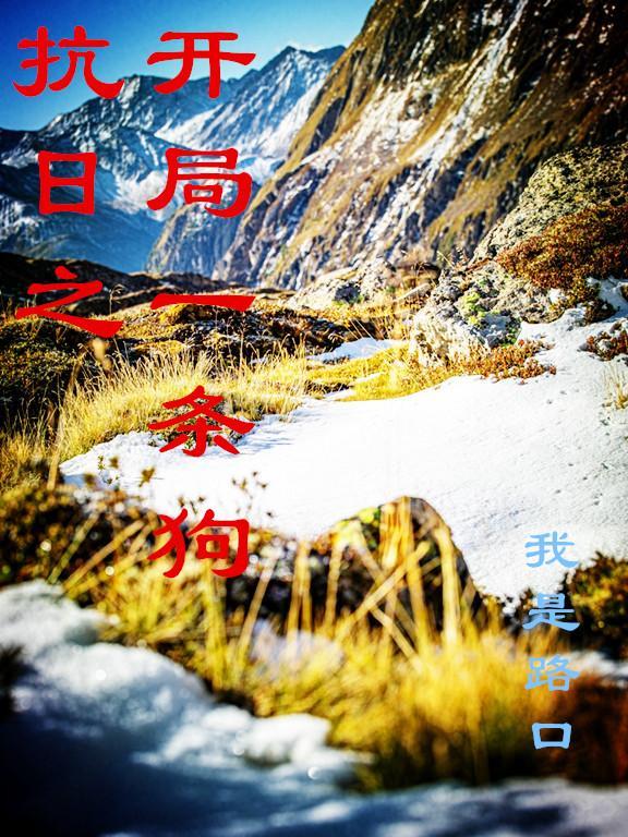 抗日开局一条狗主角叫林天