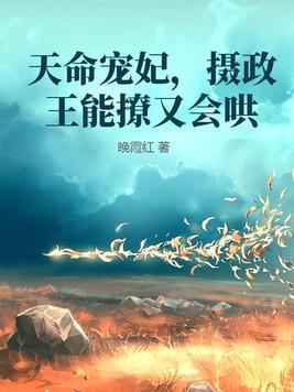 天命皇妃太子请接招