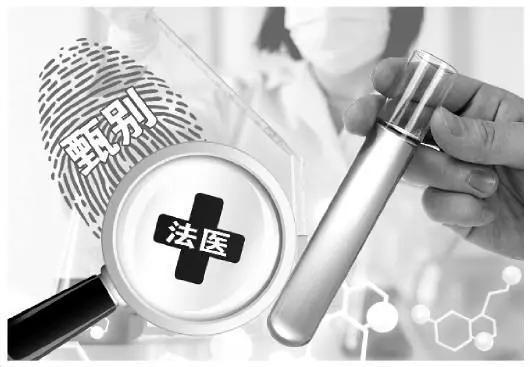 重生法医破案类