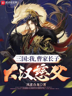 三国我曹家长子大汉慈父全文免费阅读