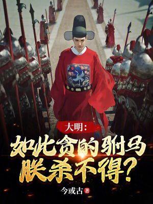 大明如此贪的驸马朕杀不得TXT