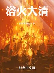浴火大清TxT