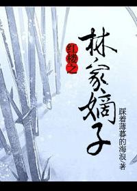 红楼之林家嫡子林琰