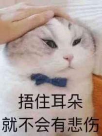 恶毒炮灰向导只想退婚by青花鱼