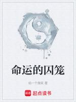 命运的囚笼沈