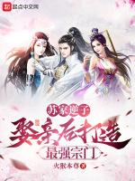 苏家紫七作品