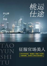 桃运仕途征服官场美人女主陈子洲