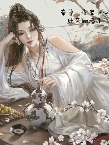 帝尊家的小甜妃全文免费阅读无弹窗