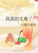 我真的太难了融合版