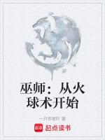 巫师3用火把