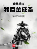 暗黑武道我吞金成圣起点中文网