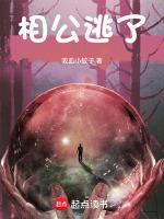 相公别逃