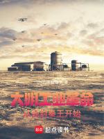 大明工业革命之...