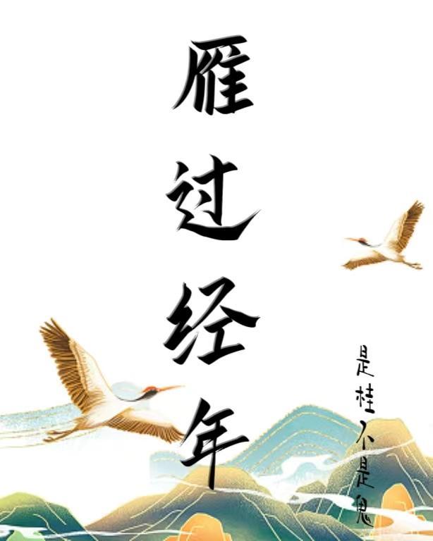 雁过留()