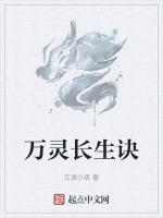 长生诀灵器