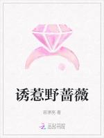 惹蔷薇全文免费阅读