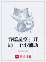 吞噬星空开局一个小辅助陈五碗饭